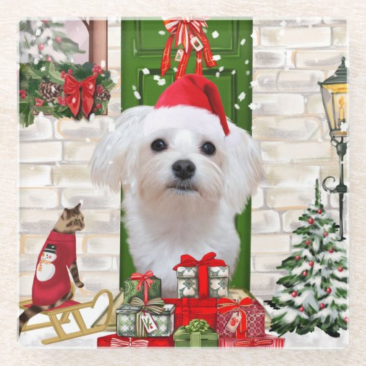 マルチーズドッグクリスマス ガラスコースター (正面)