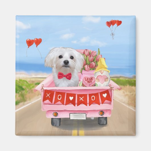 マルチーズドッグバレンタインデートラック マグネット (正面)