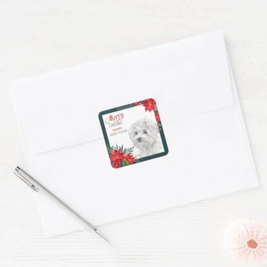 マルチーズドッグポインセチア縁どクリスマス スクエアシール (封筒)