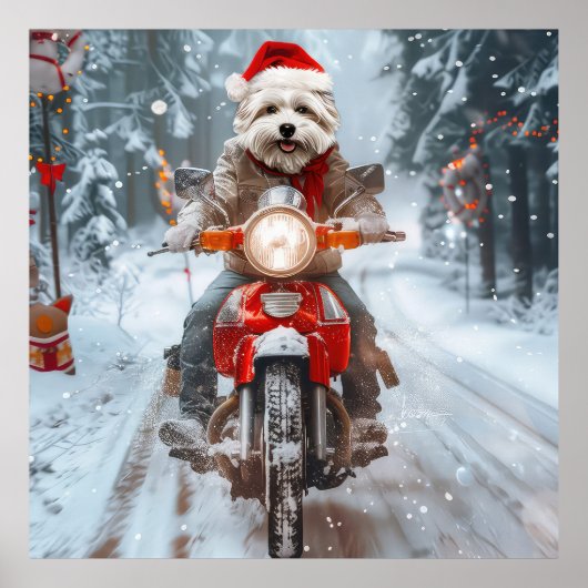 マルチーズドッグライディングオートバイクリスマス ポスター (正面)