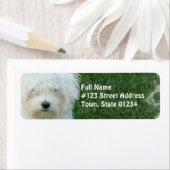 マルチーズドッグ差出人住所宛名ラベル ラベル (インサイチュ)