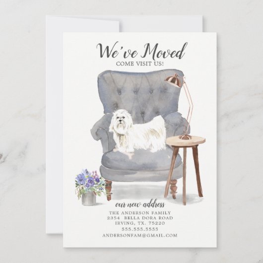 マルチーズドッグ引っ越しました移動告知 案内状 (正面)