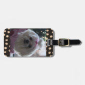 マルチーズドッグ荷物タグ ラゲッジタグ (正面横)