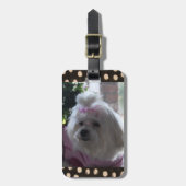 マルチーズドッグ荷物タグ ラゲッジタグ (正面縦)