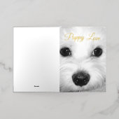 マルチーズドッグ輝き愛らしい目と鼻 箔グリーティングカード (外側レイダウン)