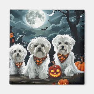 マルチーズハロウィン不気味 マグネット