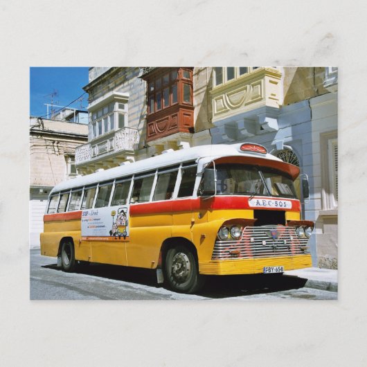 マルチーズバスはがき ポストカード (正面)