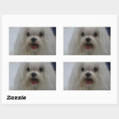 マルチーズパピーステッカー 長方形シール (シート)