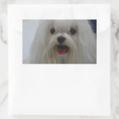 マルチーズパピーステッカー 長方形シール (バッグ)