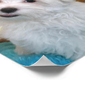 マルチーズパピーポスター ポスター (角)