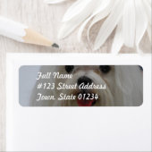 マルチーズパピーメーリングラベル ラベル (インサイチュ)