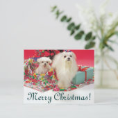 マルチーズメリークリスマス シーズンポストカード (スタンド正面)