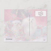 マルチーズメリークリスマス シーズンポストカード (裏面)