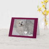 マルチーズユーモア空白の誕生日カード カード (黄色い花)