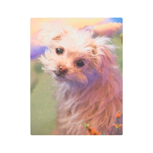 マルチーズレスキューパピーデー1ザウィーワン メタルプリント (正面)