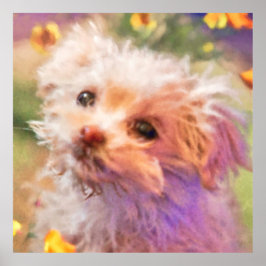 マルチーズレスキューパピー2涙を見て ポスター