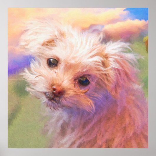 マルチーズレスキュー人形の日1 "WEE ONE"ポスター ポスター (正面)