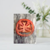 マルチーズ十字 ポストカード (スタンド正面)