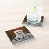 マルチーズ子犬のクリスマス ガラスコースター (アングル)