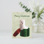 マルチーズ子犬のクリスマス シーズンポストカード (スタンド正面)
