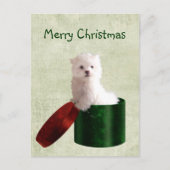 マルチーズ子犬のクリスマス シーズンポストカード (正面)