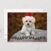 マルチーズ子犬のクリスマス シーズンポストカード (正面/裏面)