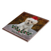 マルチーズ子犬のクリスマス タイル (側面)