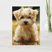 マルチーズ子犬ハッピーバースデーグリーティングカード カード (正面)