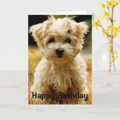 マルチーズ子犬ハッピーバースデーグリーティングカード カード (黄色い花)
