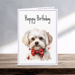 マルチーズ子犬誕生日 カード
