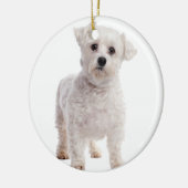 マルチーズ子犬 セラミックオーナメント (左)