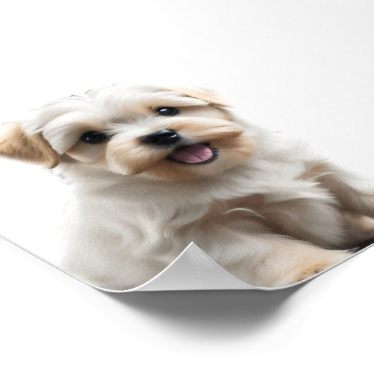 マルチーズ子犬 ポスター (角)