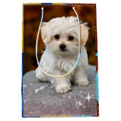マルチーズ子犬 ミディアムペーパーバッグ (正面)