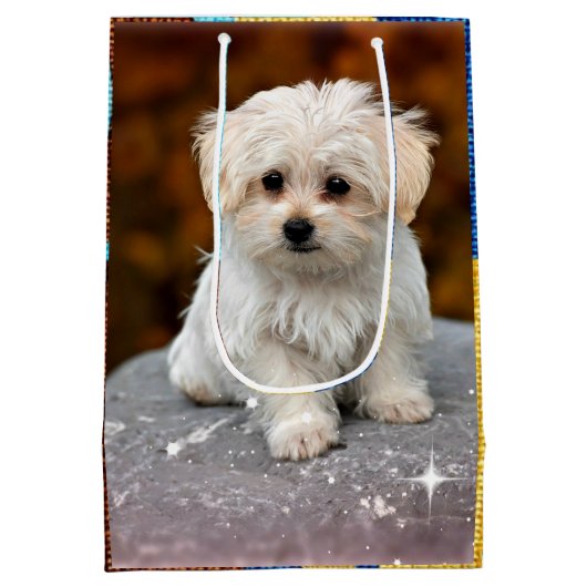 マルチーズ子犬 ミディアムペーパーバッグ (裏面)