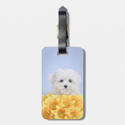 マルチーズ子犬 ラゲッジタグ (裏面縦)