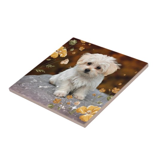 マルチーズ子犬……愛らしい タイル (側面)