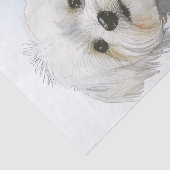 マルチーズ子犬 薄葉紙 (詳細)
