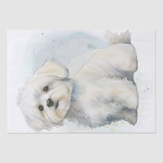 マルチーズ子犬 薄葉紙 (正面)