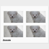 マルチーズ子犬（9ヶ月） 長方形シール (シート)