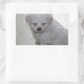 マルチーズ子犬（9ヶ月） 長方形シール (バッグ)
