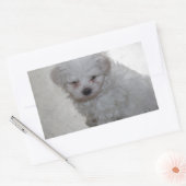 マルチーズ子犬（9ヶ月） 長方形シール (封筒)