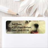 マルチーズ宛名ラベル ラベル (インサイチュ)