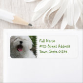 マルチーズ差出人住所ラベル ラベル (インサイチュ)