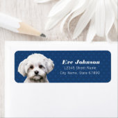 マルチーズ差出人住所ラベル ラベル (インサイチュ)