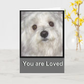 マルチーズ愛されているグリーティ空白のングカード カード (黄色い花)