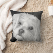 マルチーズ枕 クッション (ブランケット)