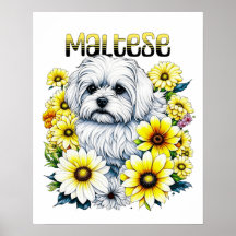 マルチーズ水彩愛アート犬のオーナー