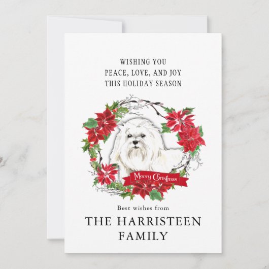 マルチーズ水色ポインセチアのクリスマス シーズンカード (正面)