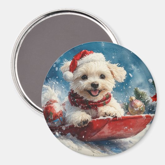 マルチーズ犬のソリで雪のクリスマス マグネット (正面/裏面)