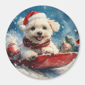 マルチーズ犬のソリで雪のクリスマス マグネット (正面)